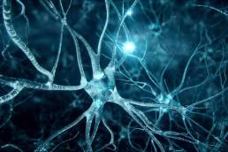 امراض الجهاز العصبي و الوقاية منها