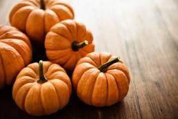 فوائد اليقطين