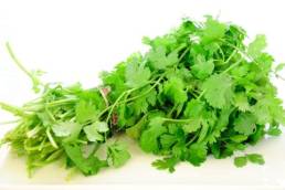 فوائد الكزبره