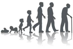 مراحل نمو الانسان