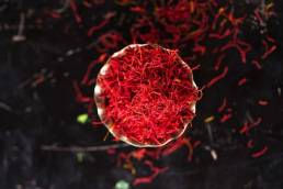 استخدامات الزعفران