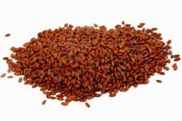 اضرار حب الرشاد