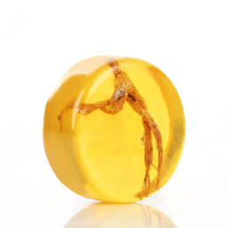 فوائد الجنسينج مع العسل