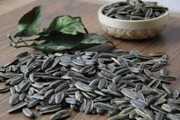 فوائد حب دوار الشمس